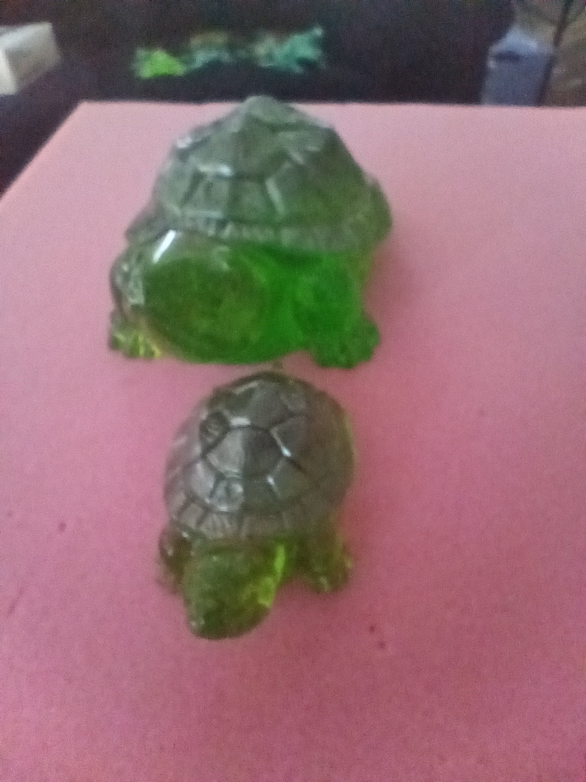 turtles