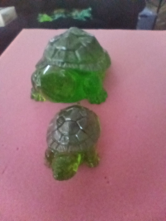 turtles