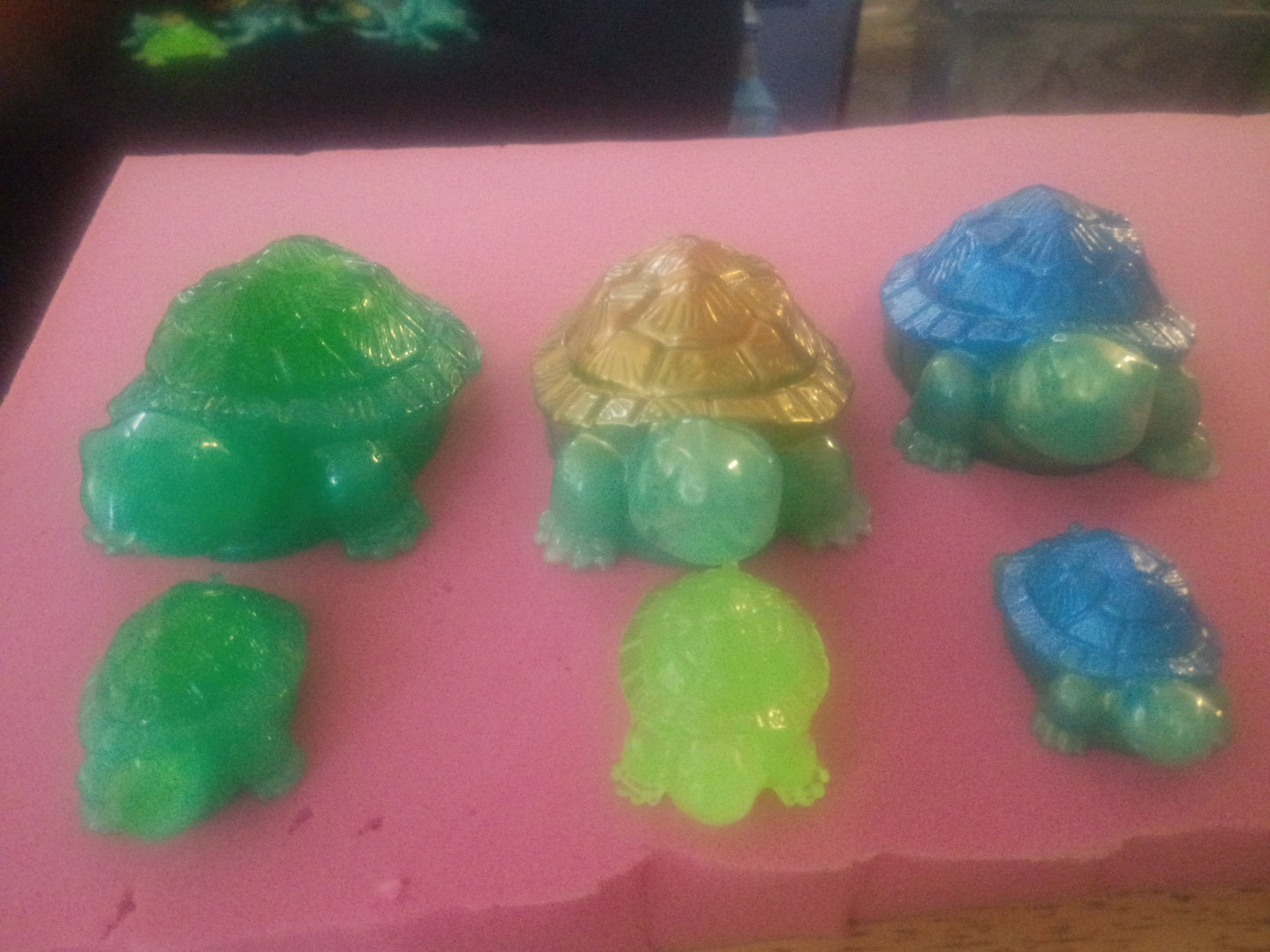 turtles