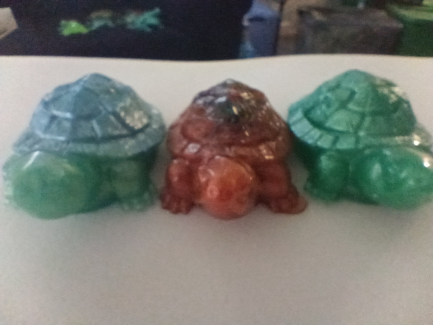 single turtles