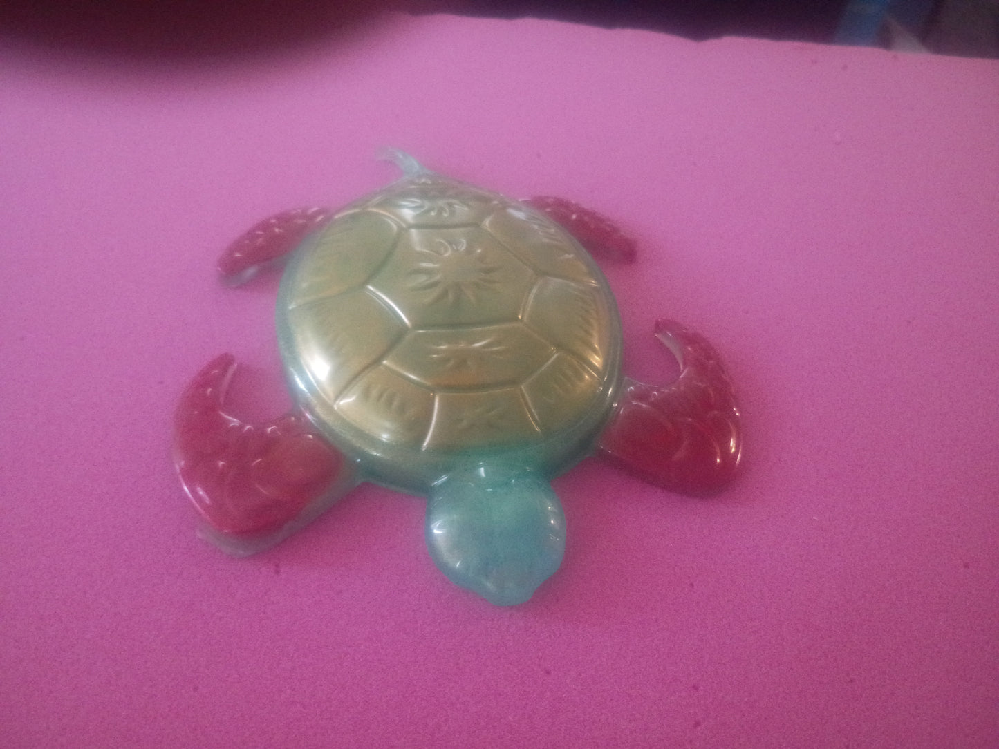 flat turtle