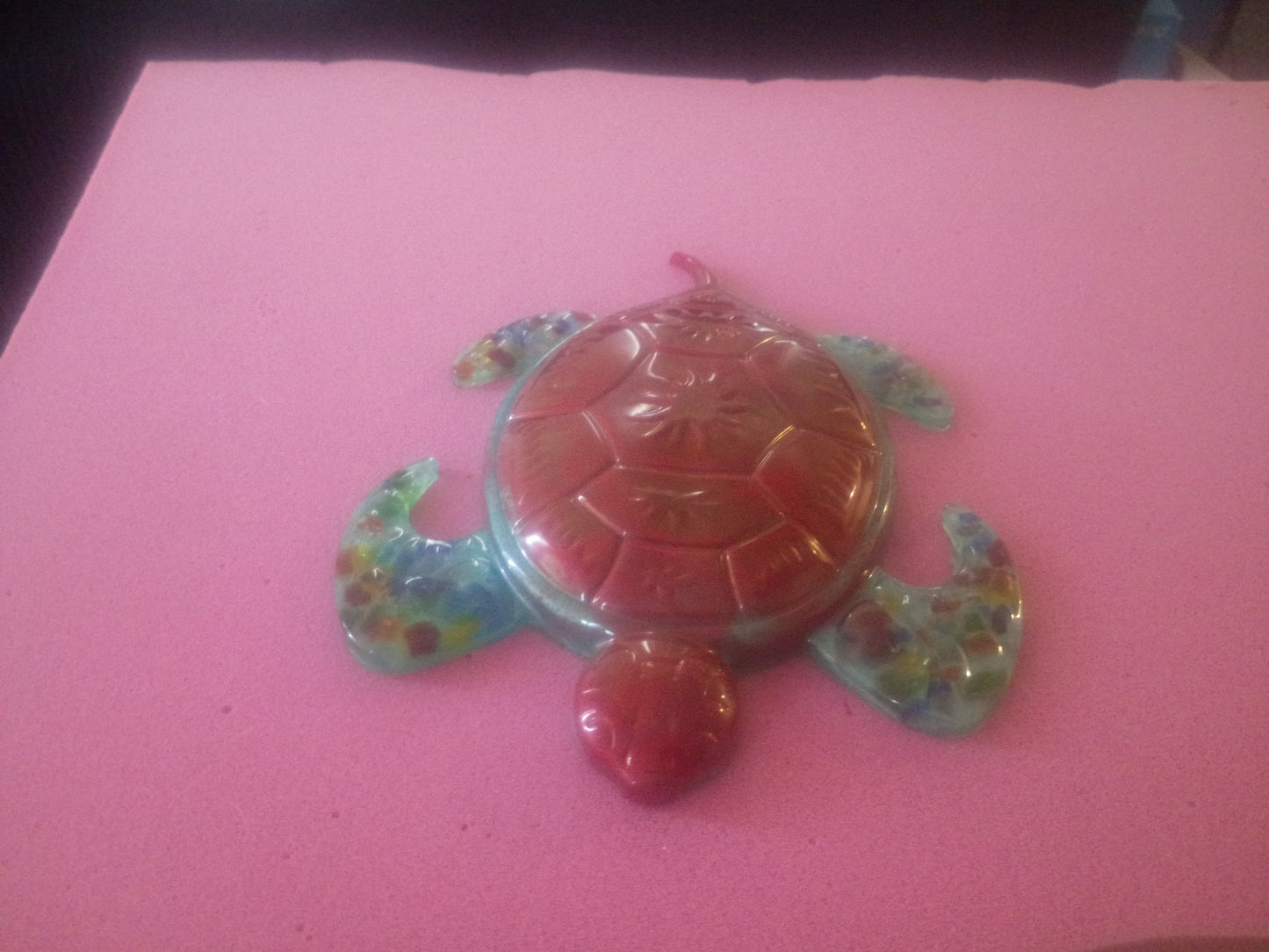 turtle